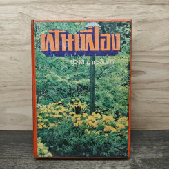ฝันเฟื่อง เล่ม 1 - ชูวงศ์ ฉายะจินดา