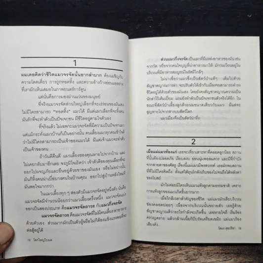 โลกใหญ่ใบมด - โตมร ศุขปรีชา รูปที่ 9