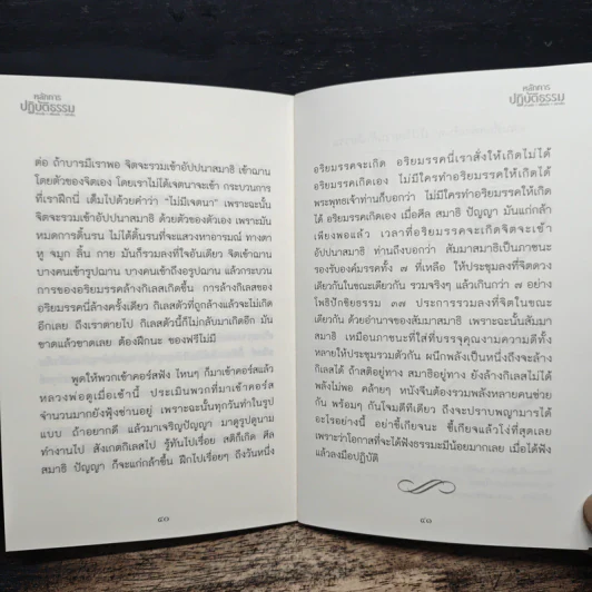 หลักการปฏิบัติธรรม - หลวงพ่อปราโมทย์ ปาโมชโช รูปที่ 8