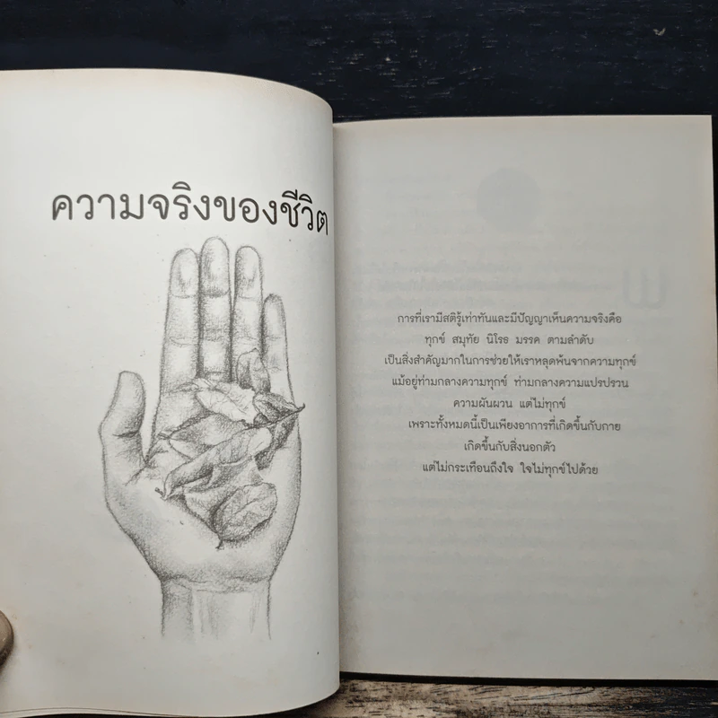 เป็นมิตรกับชีวิต - พระไพศาล วิสาโล รูปที่ 8