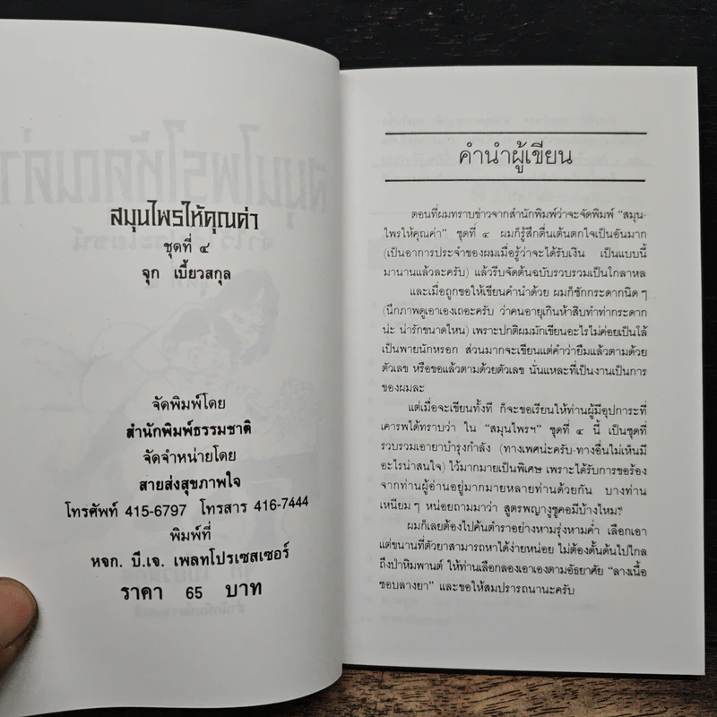 สมุนไรให้คุณค่า ชุดที่ 4 - จุก เบี้ยวสกุล รูปที่ 6