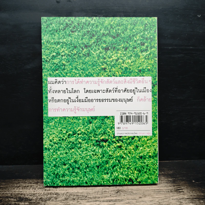 โลกใหญ่ใบมด - โตมร ศุขปรีชา รูปที่ 2