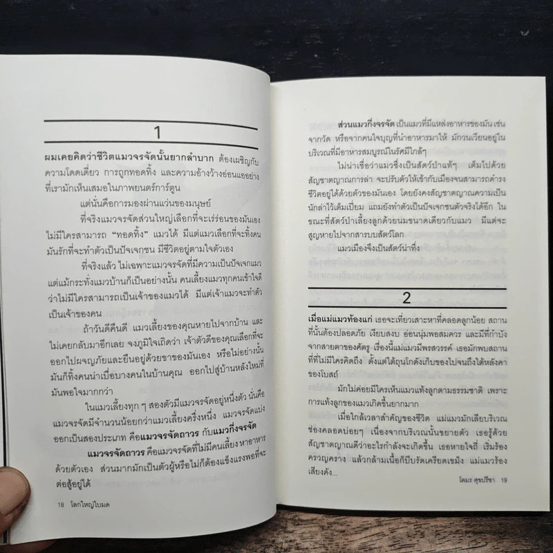 โลกใหญ่ใบมด - โตมร ศุขปรีชา รูปที่ 9