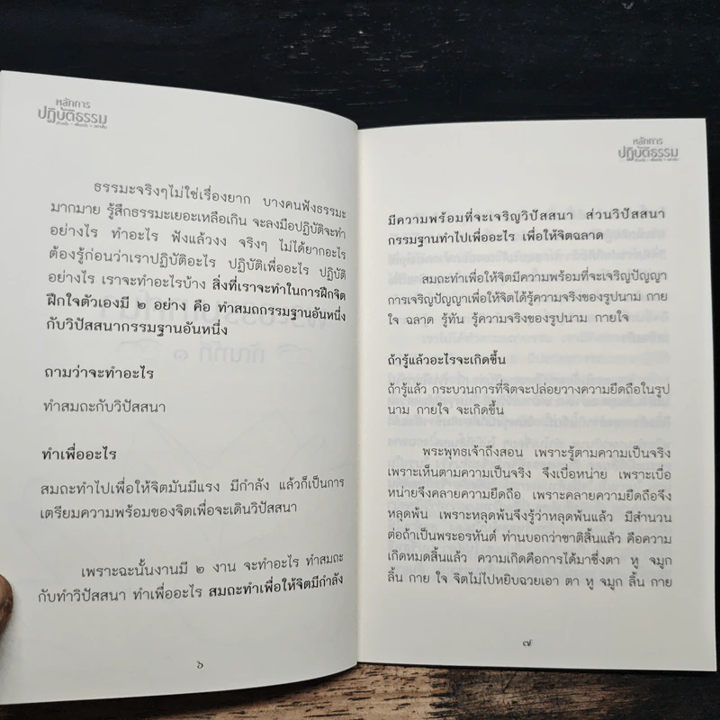 หลักการปฏิบัติธรรม - หลวงพ่อปราโมทย์ ปาโมชโช รูปที่ 7