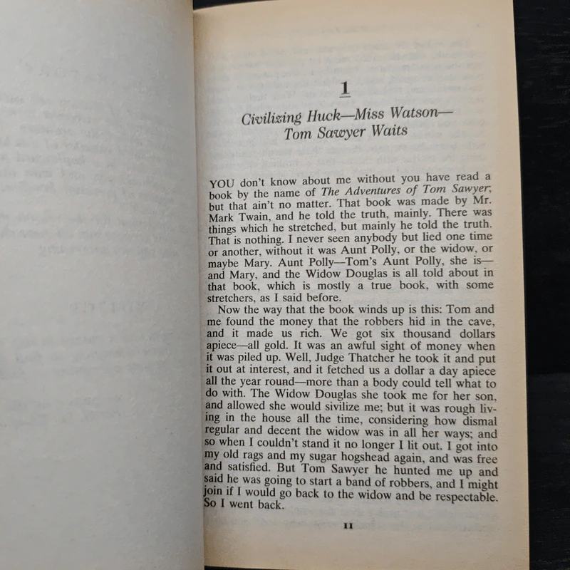 The Adventures of Huckleberry Finn - Mark Twain รูปที่ 9