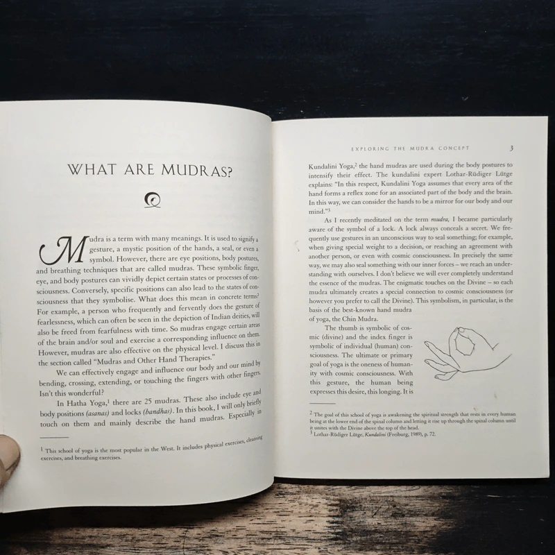 Mudras Yoga in your hands รูปที่ 10