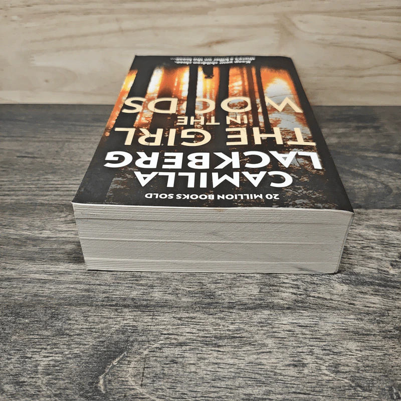The Girl in the Woods - Camilla Läckberg รูปที่ 4
