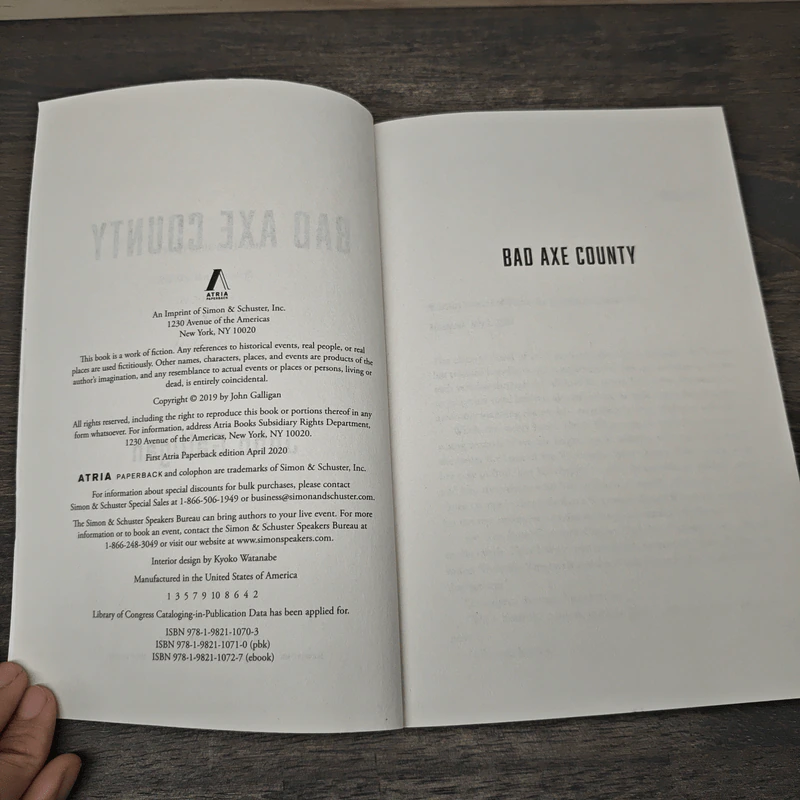 Bad Axe County - John Galligan รูปที่ 6