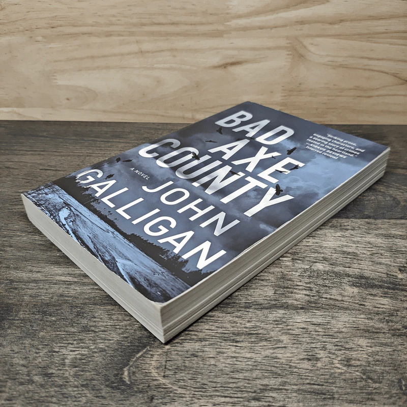 Bad Axe County - John Galligan รูปที่ 3