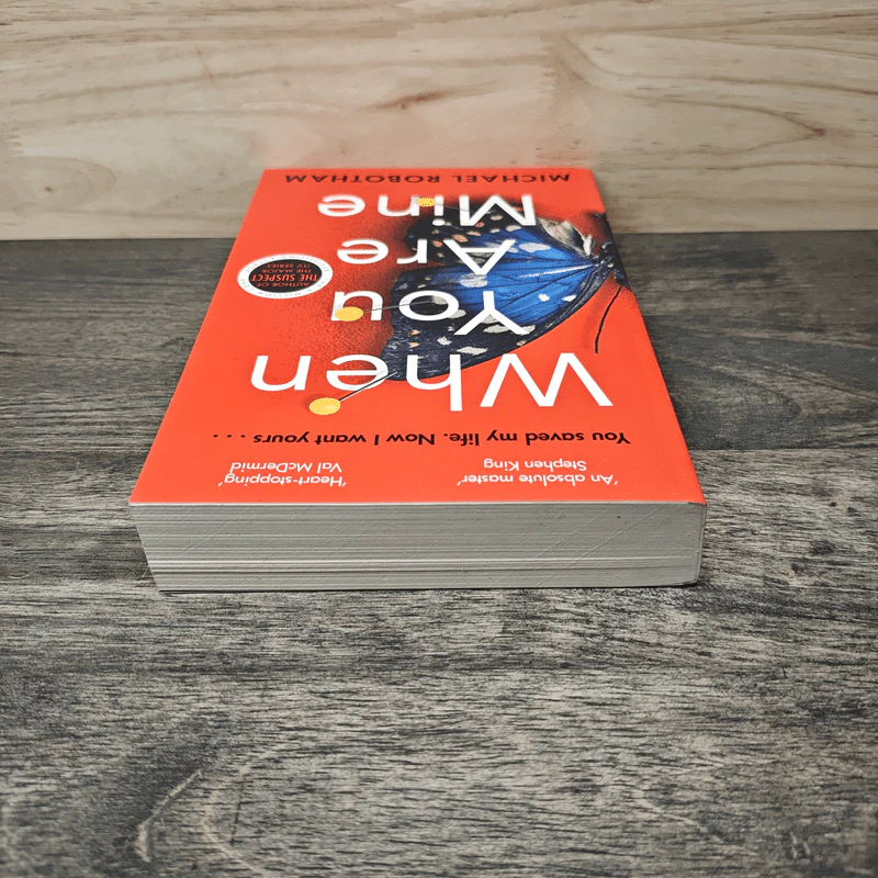 When You Are Mine - Michael Robotham รูปที่ 4