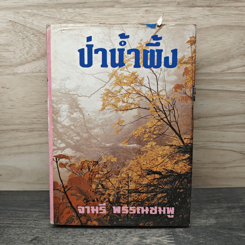 ป่าน้ำผึ้ง - จามรี พรรณชมพู รูปที่ 1