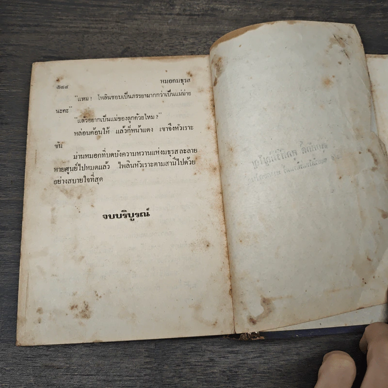 หมอกมธุรส - วลัย นวาระ รูปที่ 8