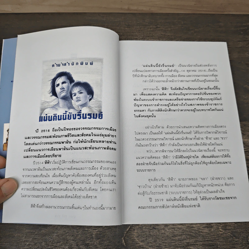 แผ่นดินนี้ยังรื่นรมย์ - สีฟ้า รูปที่ 7