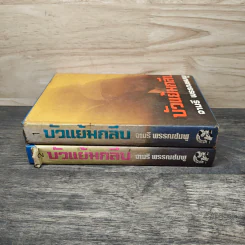 บัวแย้มกลีบ เล่ม 1-2 - จามรี พรรณชมพู รูปที่ 3