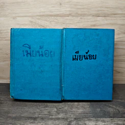เมียน้อย 2 เล่มจบ - ทมยันตี