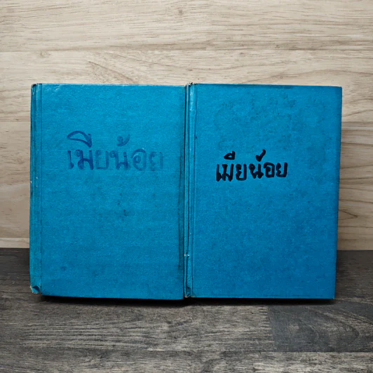 เมียน้อย 2 เล่มจบ - ทมยันตี รูปที่ 1