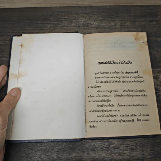 ราชสีห์บู๊ลิ้ม 3 เล่มจบ - ว.ณเมืองลุง รูปที่ 6
