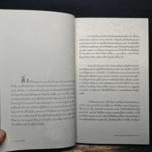 เมตตาฆ่าศัตรู - บุญมี พวงเพชร รูปที่ 8