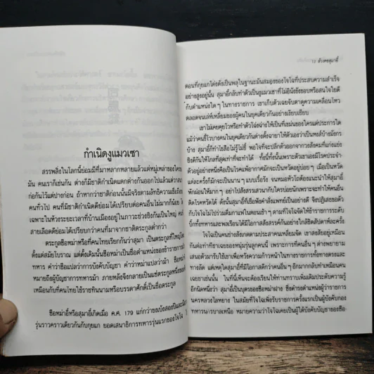 ล้วงคอสุมาอี้ - เล่าชวนหัว รูปที่ 7