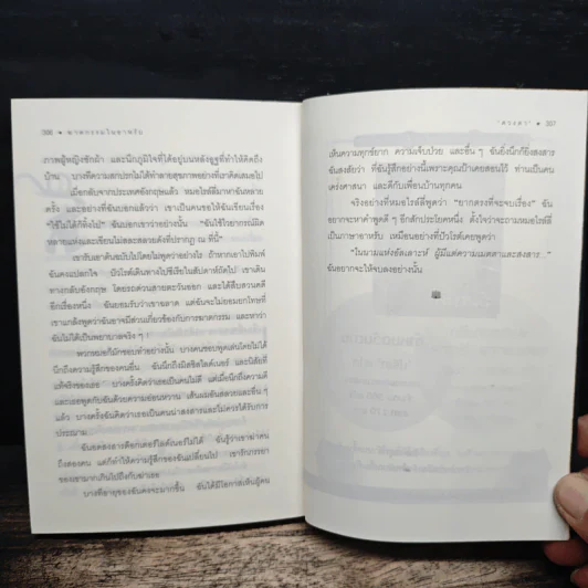 ฆาตกรรมในอาหรับ Murder in Mesopotamia - อกาธา คริสตี้, ดวงตา รูปที่ 10