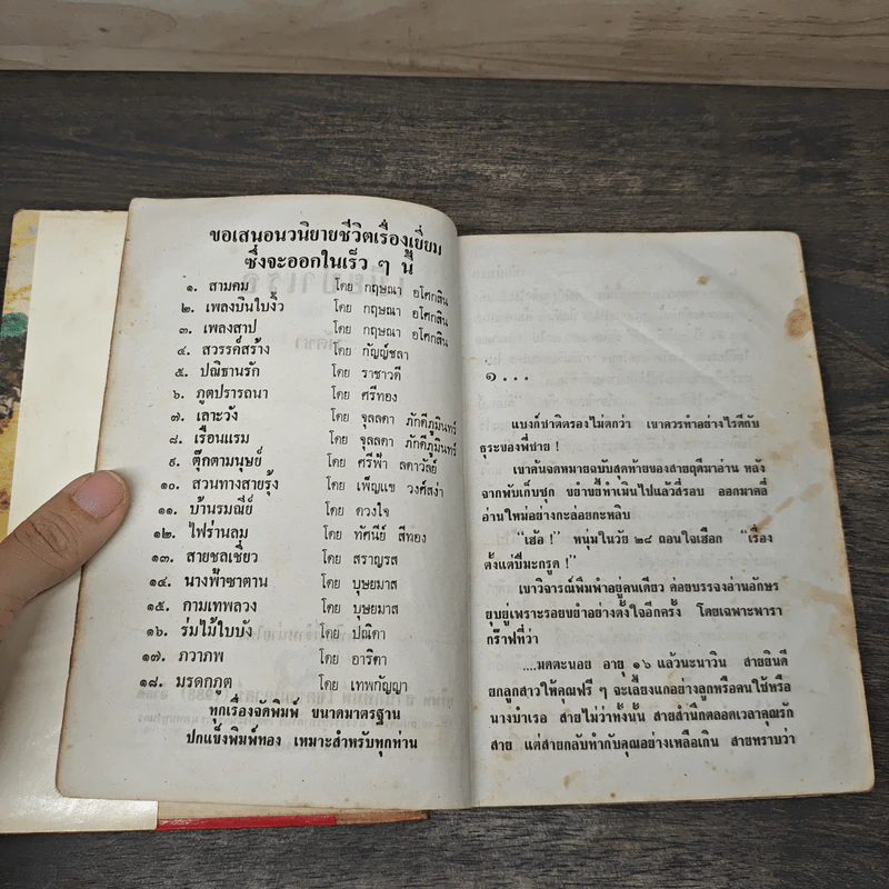 เมียบำเรอ 3 เล่มจบ - พัดชา รูปที่ 6