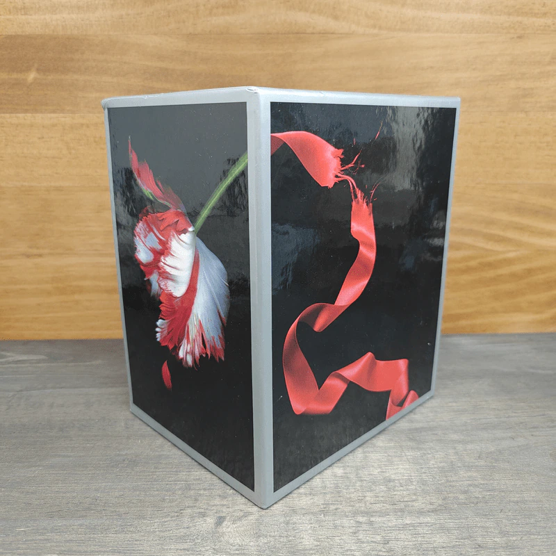 The Twilight Saga Boxset 4 เล่มจบ - Stephen Meyer รูปที่ 3