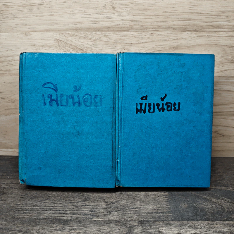 เมียน้อย 2 เล่มจบ - ทมยันตี รูปที่ 1