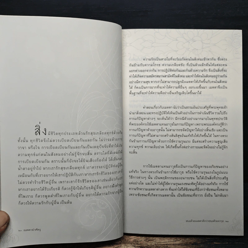 เมตตาฆ่าศัตรู - บุญมี พวงเพชร รูปที่ 8