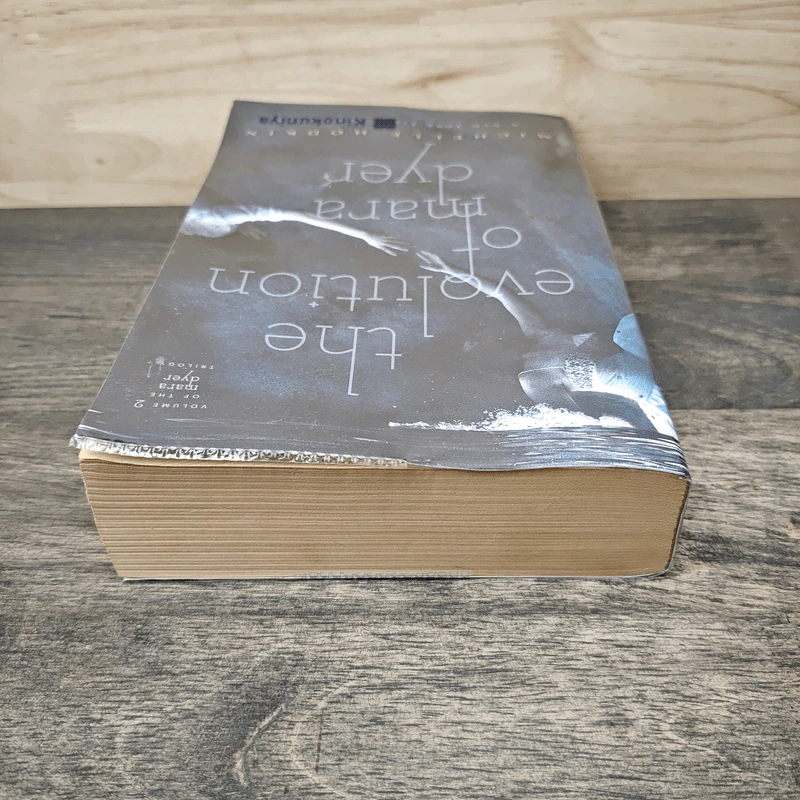 The Evolution of Mara Dyer - Michelle Hodkin รูปที่ 4