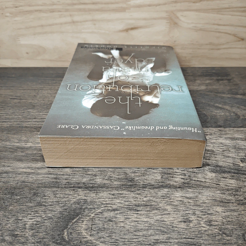 The Retribution of Mara Dyer - Michelle Hodkin รูปที่ 4