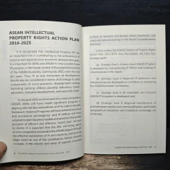 The ASEAN Intellectual Property Rights Action Plan 2016-2025 รูปที่ 8