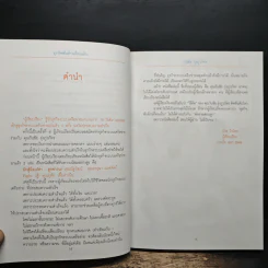 ธุรกิจพันล้านที่คนเมิน - วันชัย รุ่งภูวภัทร, ป่วย ใจไทย รูปที่ 7