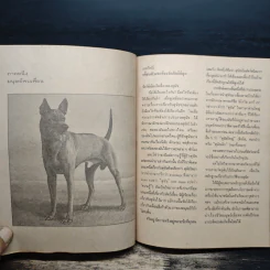 สัตว์มีประโยชน์ Animals on a Pedestal - Yuri Dmitriyev, ทองสุก เกตุโรจน์ รูปที่ 11