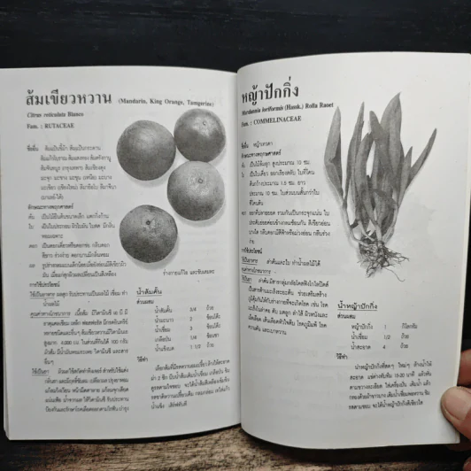 เคล็ดวิธี แก้กรรม-ปัญหาชีวิต กินอย่างไร-ไร้โรคภัย รูปที่ 8