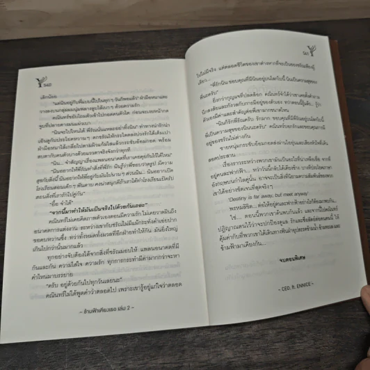 ข้ามฟ้าเคียงเธอ 2 เล่มจบ - CEO.ft ennice รูปที่ 8