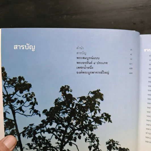 ไม่มาเกิดมาตายเรียกว่า ชาติสุดท้าย - หลวงตาพระมหาบัว รูปที่ 9