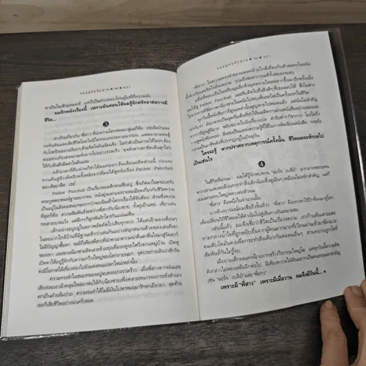 จอมยุทธจับฉ่าย - นรา รูปที่ 9