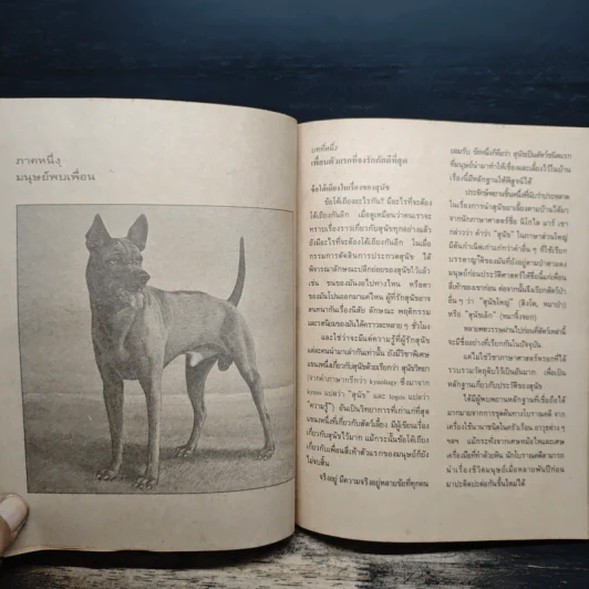 สัตว์มีประโยชน์ Animals on a Pedestal - Yuri Dmitriyev, ทองสุก เกตุโรจน์ รูปที่ 11