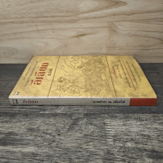 อีเลียด Iliad - มหากวีโฮเมอร์ รจนา, นายตำรา ณ เมืองใต้ รูปที่ 2