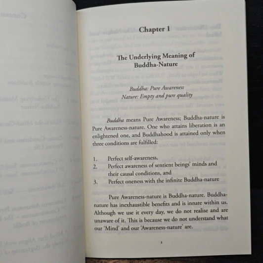 Dynamics of the Mind - Reverend Ming-An Chen รูปที่ 9