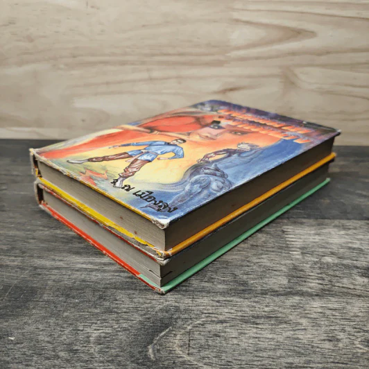 เพชฌฆาตมังกรทอง เล่ม 1-2 - ณ เมืองลุง รูปที่ 4