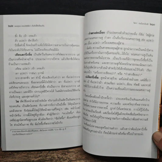 พระพุทธ พระโพธิสัตว์ สิ่งศักดิ์สิทธิ์ของจีน - จิตรา ก่อนันทเกียรติ รูปที่ 9