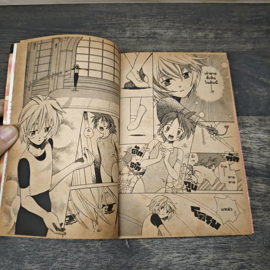 เจ้าหญิงมหัศจรรย์ Princess Tutu 2 เล่มจบ รูปที่ 7