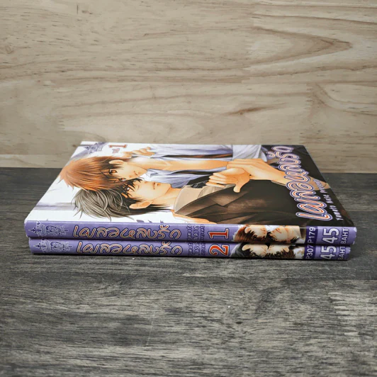 เผลอหลงรัก เล่ม 1-2 - Yamato Nase รูปที่ 3