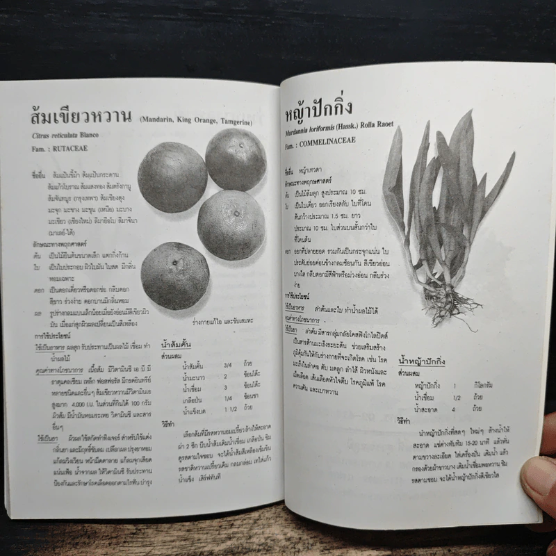 เคล็ดวิธี แก้กรรม-ปัญหาชีวิต กินอย่างไร-ไร้โรคภัย รูปที่ 8
