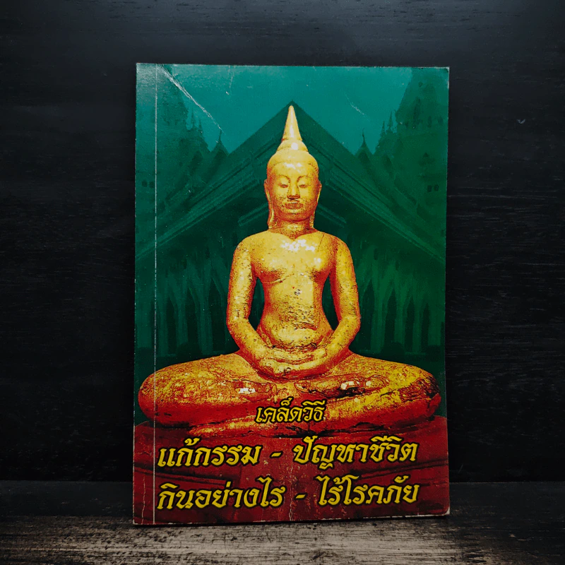 เคล็ดวิธี แก้กรรม-ปัญหาชีวิต กินอย่างไร-ไร้โรคภัย รูปที่ 1