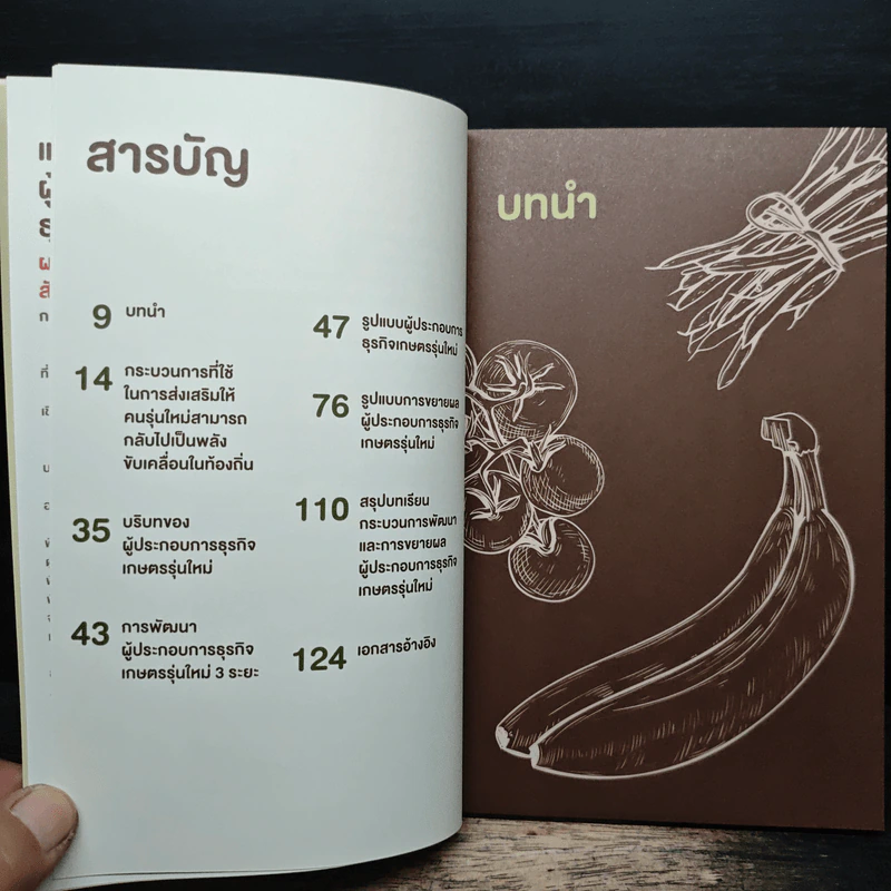 แนวทางการพัฒนาผู้ประกอบการธุรกิจเกษตรรุ่นใหม่ ผลกระทบต่อเศรษฐกิจฐานราก สังคม และสิ่งแวดล้อม รูปที่ 7