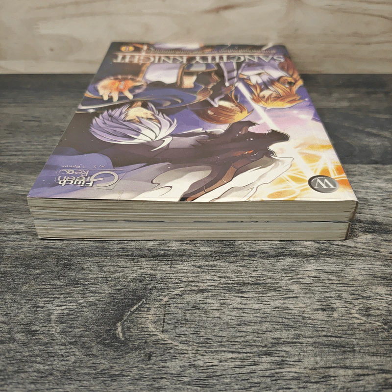Sanctity Knight พันธุ์อัศวินป่วนโลก 2 เล่มจบ - Finch รูปที่ 5
