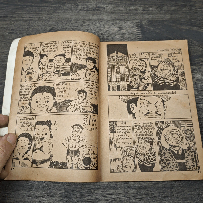 ทาร์จังจ้าวป่า 20 เล่มจบ รูปที่ 7