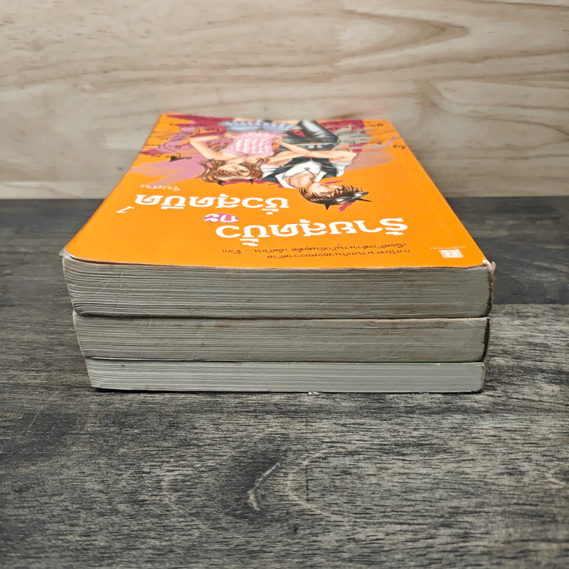 ร้ายสุดขั้วกะชั่วสุดขีด เล่ม 1,3,4 - ใบสน รูปที่ 5